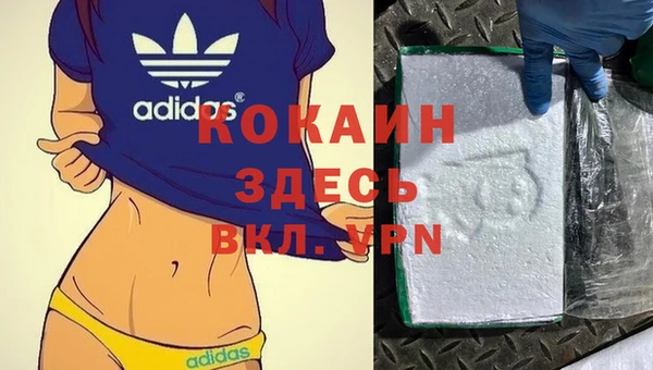 дмт Алексин