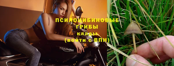 бутират Ростов