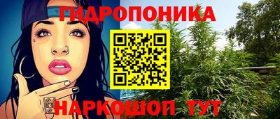 шишки Комсомольск-на-Амуре