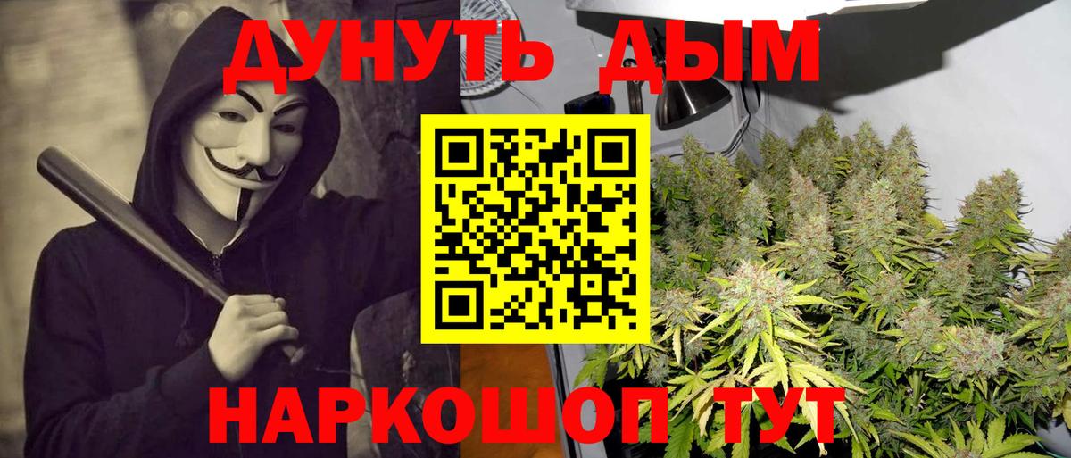 МАРИХУАНА гибрид Коркино